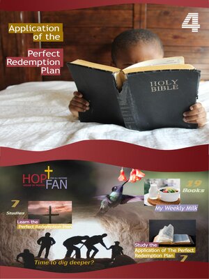 cover image of Application of the Perfect Redemption Plan 4